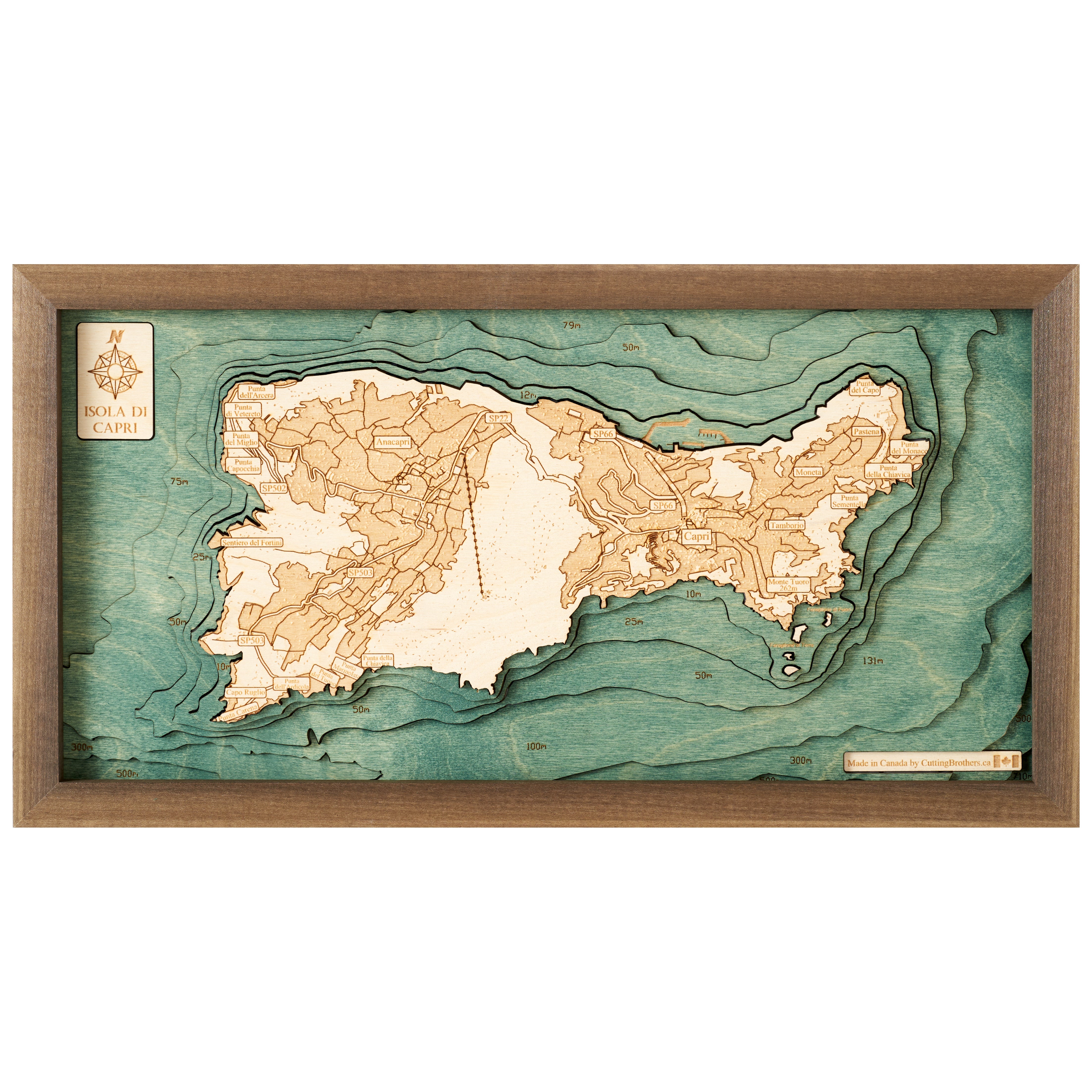 CAPRI 3D WOODEN WALL MAP - Version S