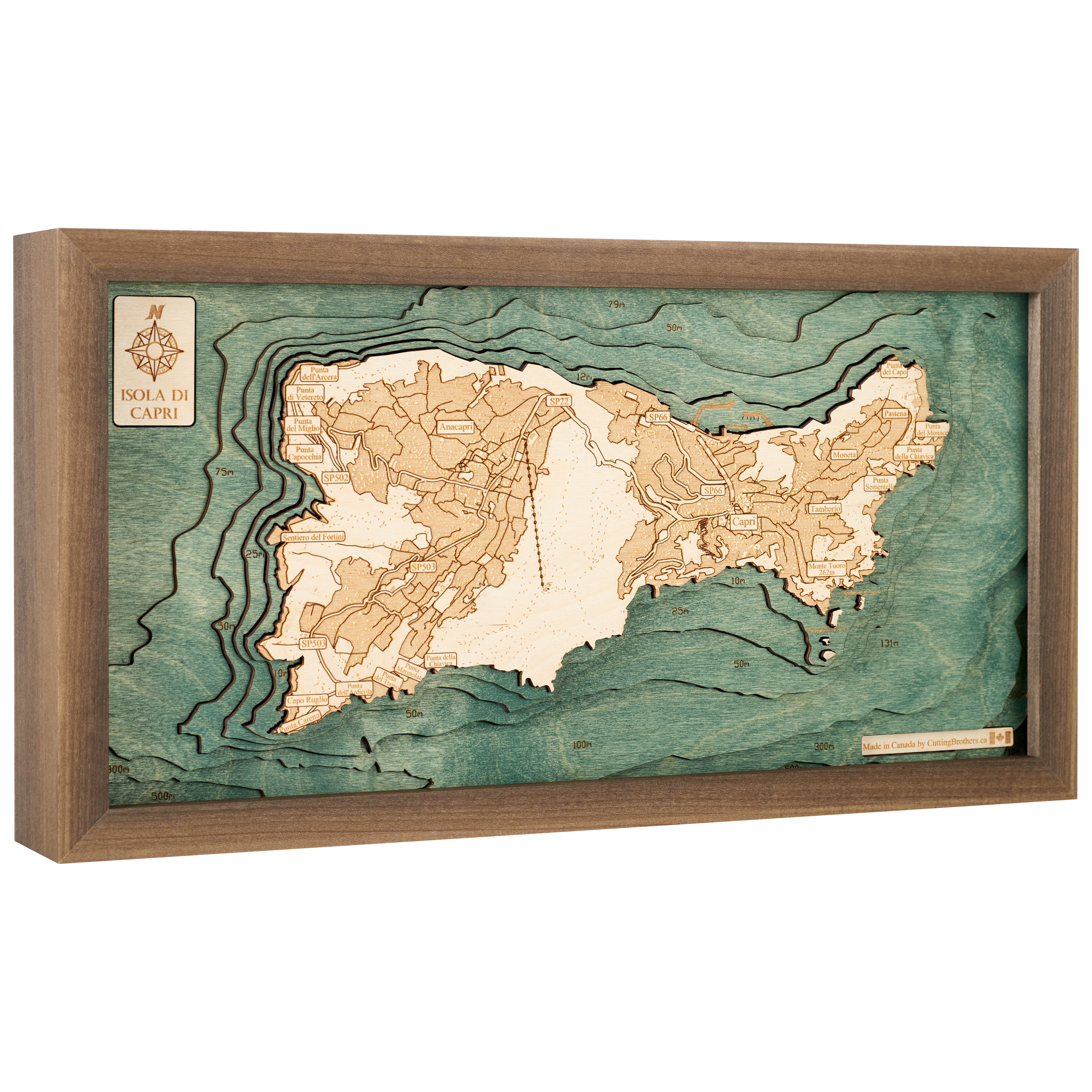 CAPRI 3D WOODEN WALL MAP - Version S