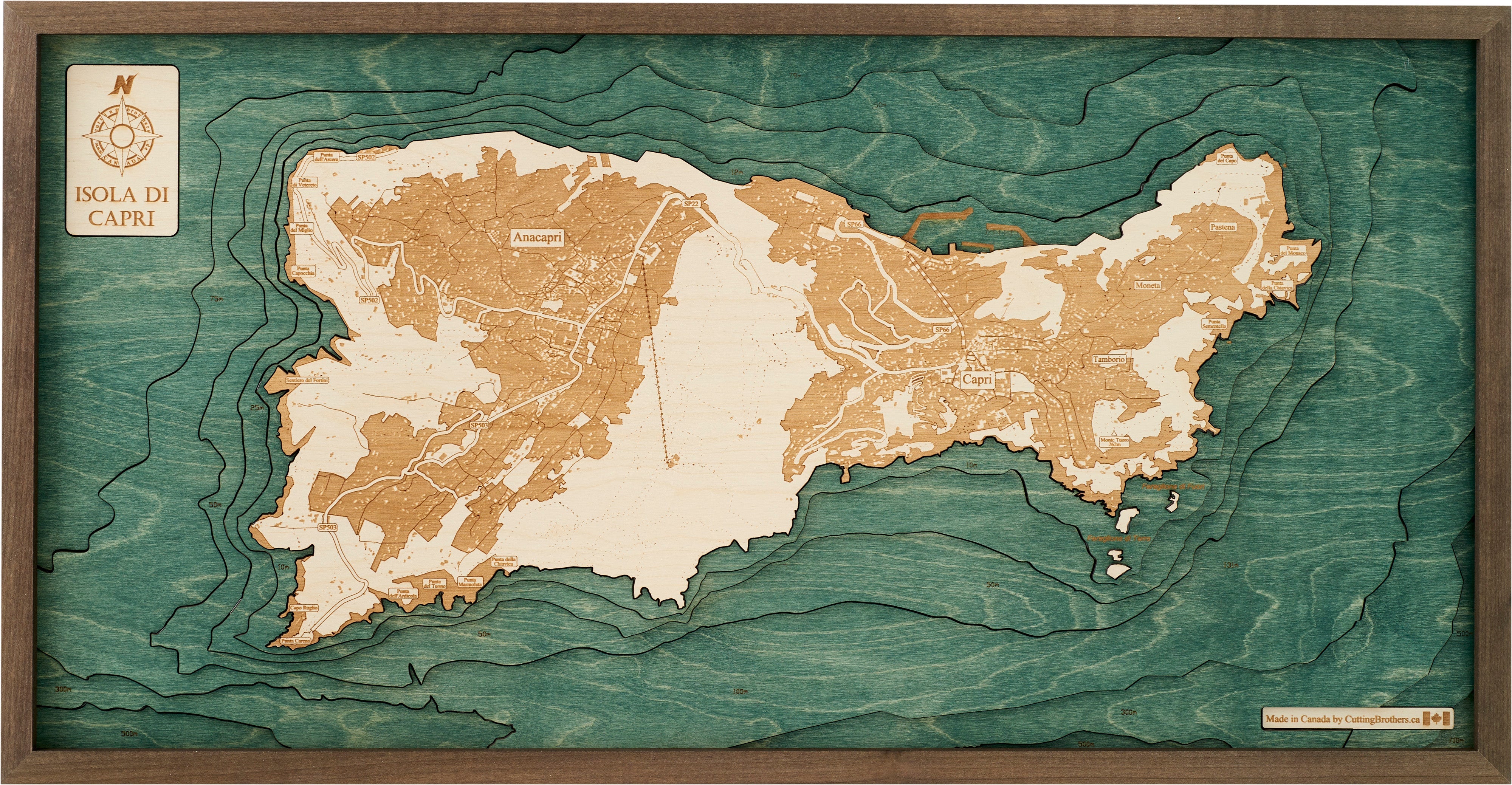 CAPRI 3D WOODEN WALL MAP - Version M