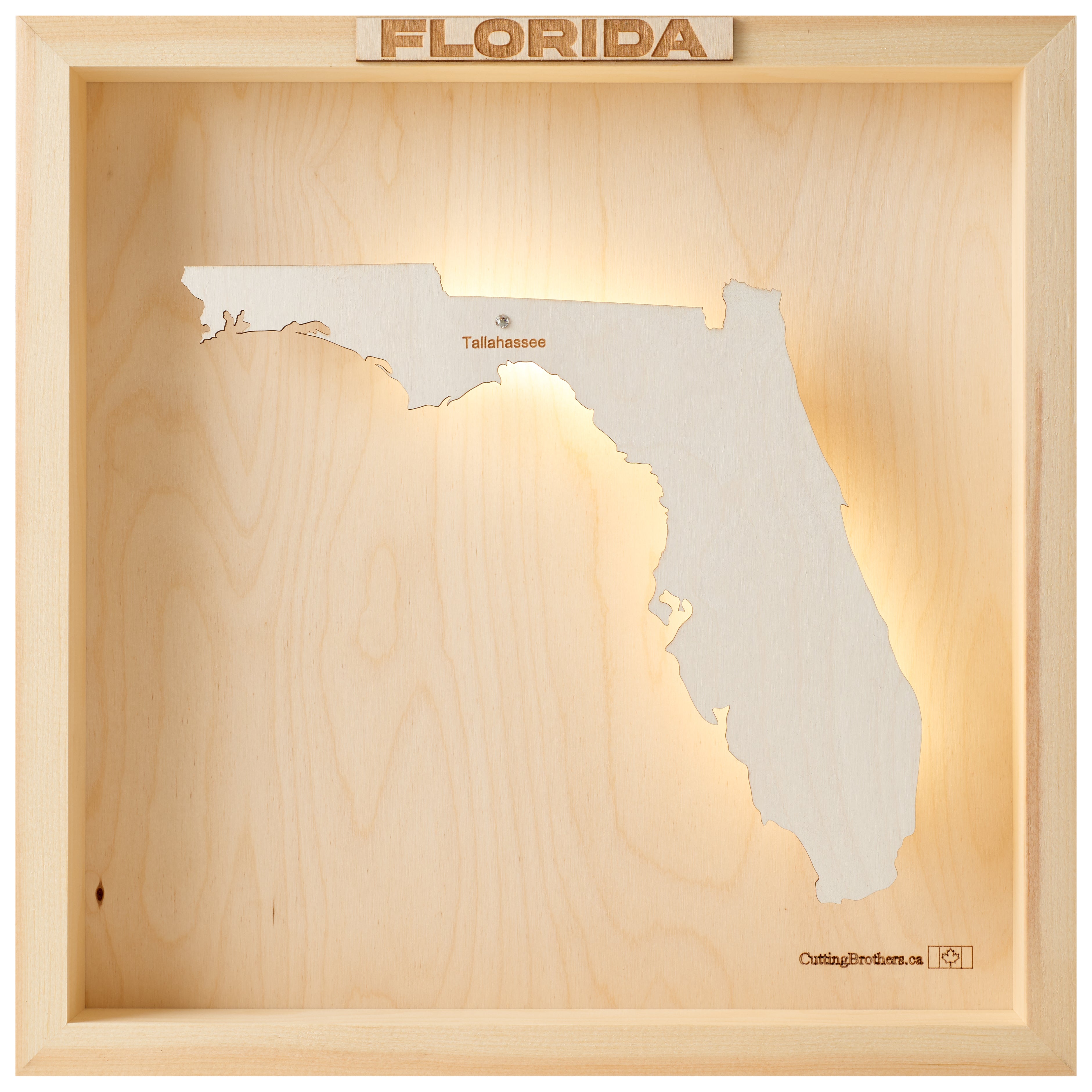 FLORIDA LED LIGHT WOODEN WALL MAP - Version S