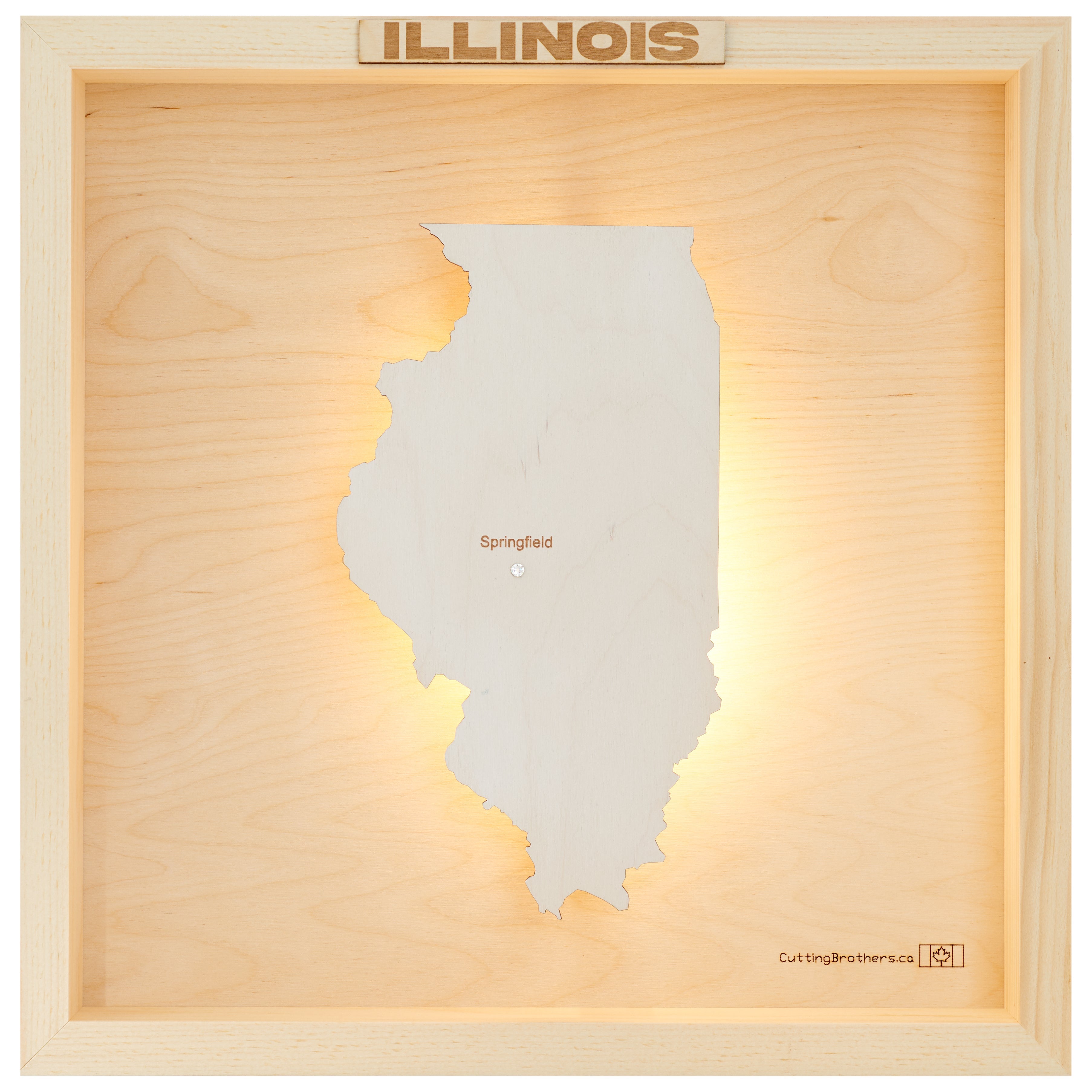 ILLINOIS LED LIGHT WOODEN WALL MAP - Version S